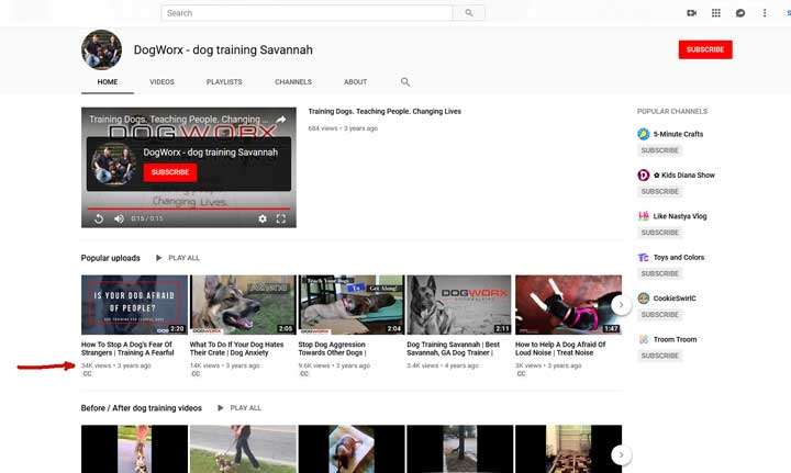 youtube channel video marketing