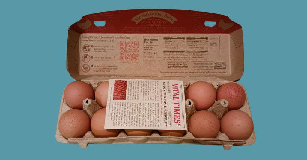 Picture of open egg carton with a mini newsletter inside